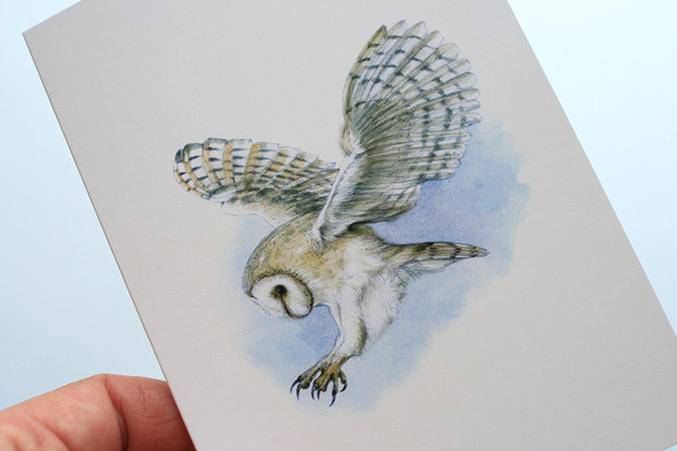 Greeting card, A5 folded to A6, with wildlife illustration of a barn owl (2).