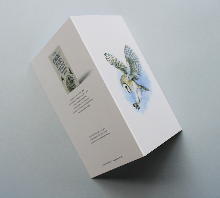 Greeting card, A5 folded to A6, with wildlife illustration of a barn owl_sides).