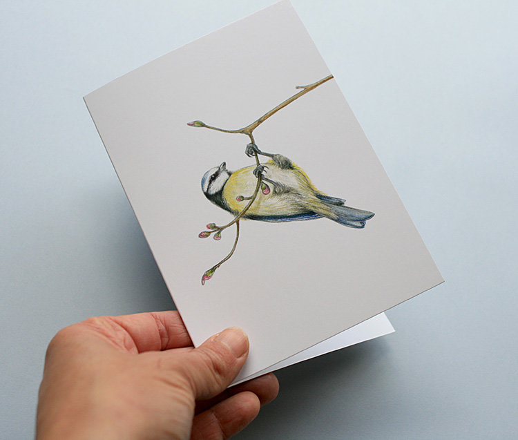 A6 CARD – blue tit hanging from a tree branch.