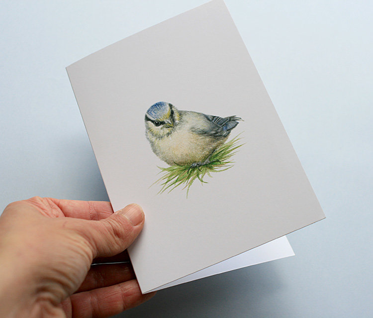 A6 CARD – blue tit chick in the grass_front.