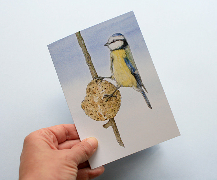 A6 CARD – feeding blue tit – illustration from 'Blue tit chick'