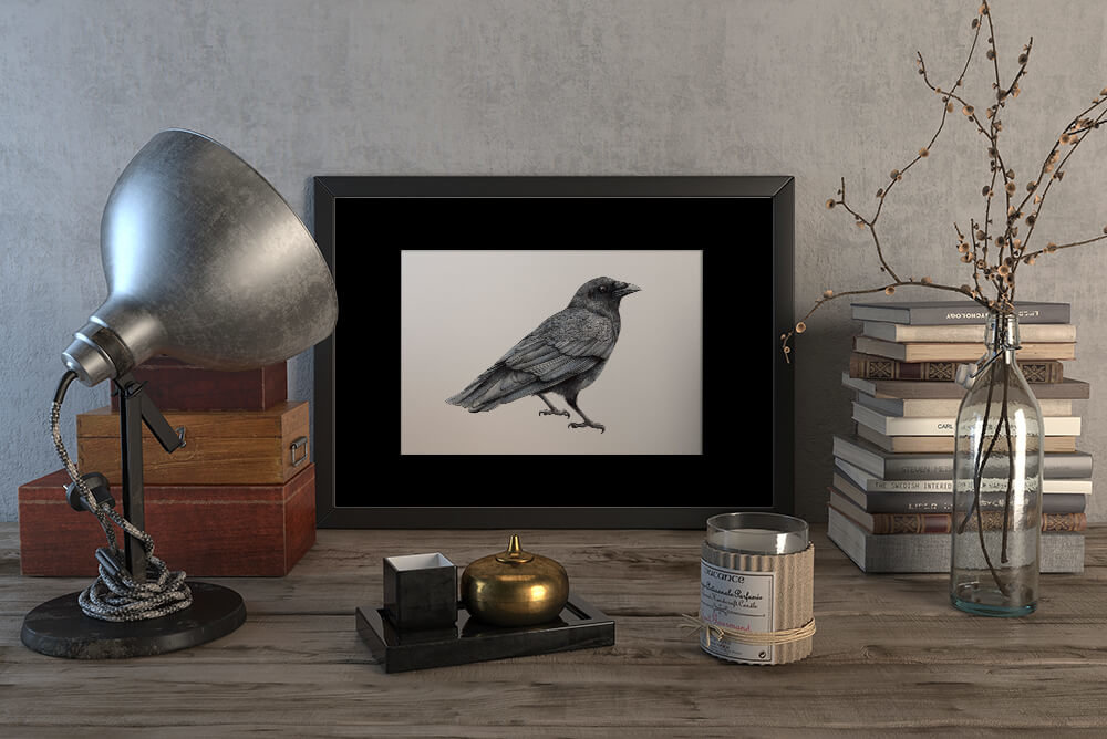 Crow – original artwork by Aga Grandowicz.