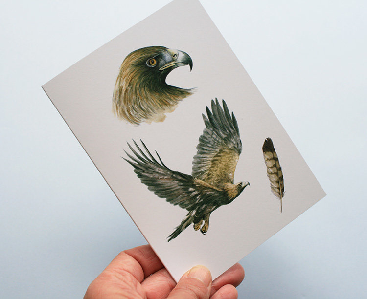 Greeting card, A5 folded to A6, with wildlife illustration of a golden eagle.