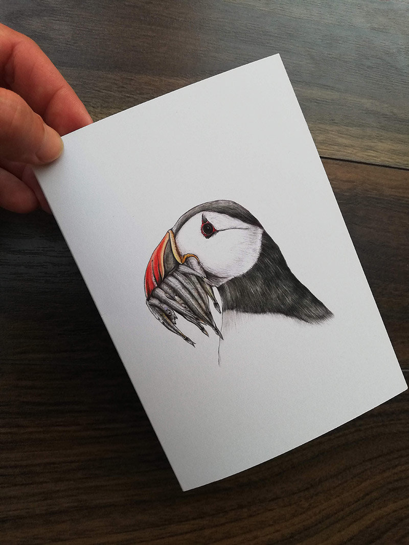 Greeting card A6 (folded A5) – Atlantic puffin, illustration by Aga Grandowicz.