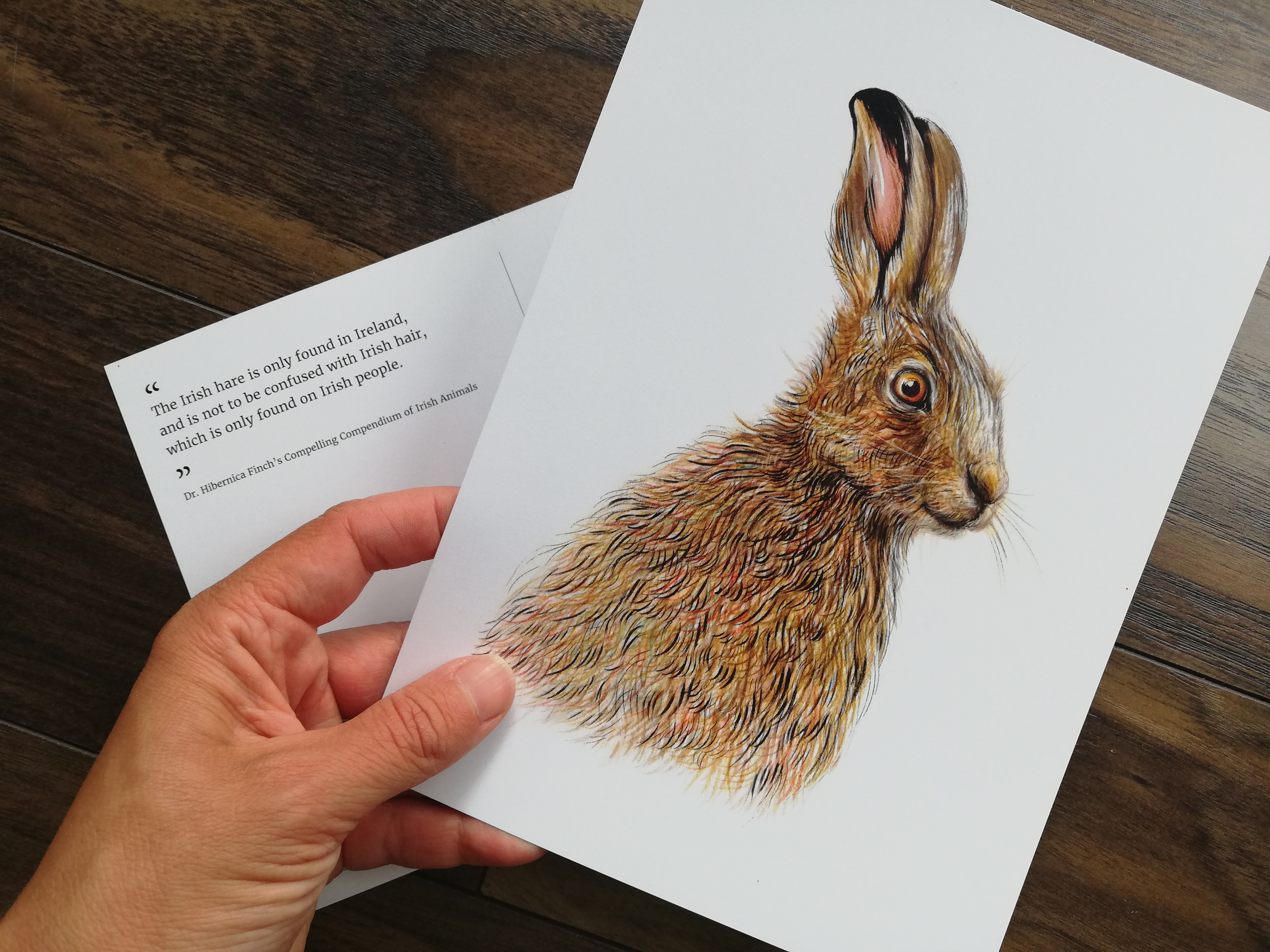 CARD – Irish hare, as featured in 'Dr Hibernica Finch's Compelling Compendium ..