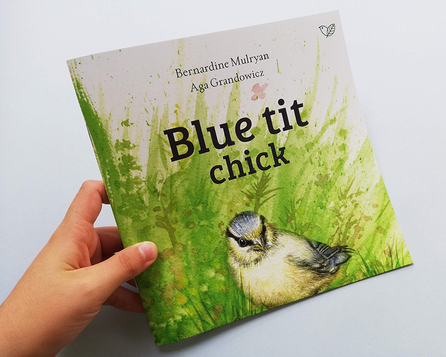 Blue tit chick – children's book by Bernardine Mulryan and Aga Grandowicz_FC