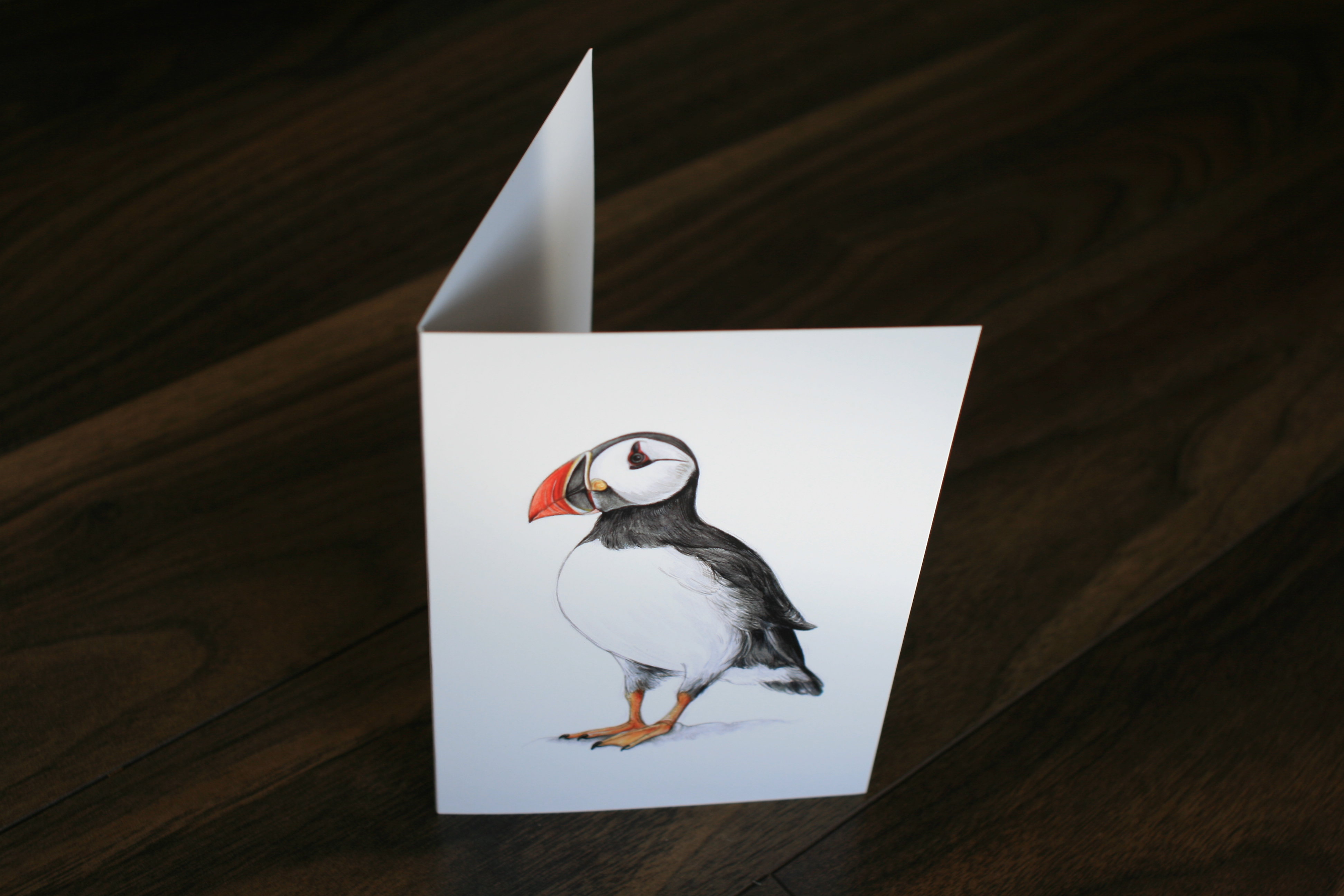 CARD – Wildlife illustration of a puffin, as featured in 'Dr Hibernica Finch’s C