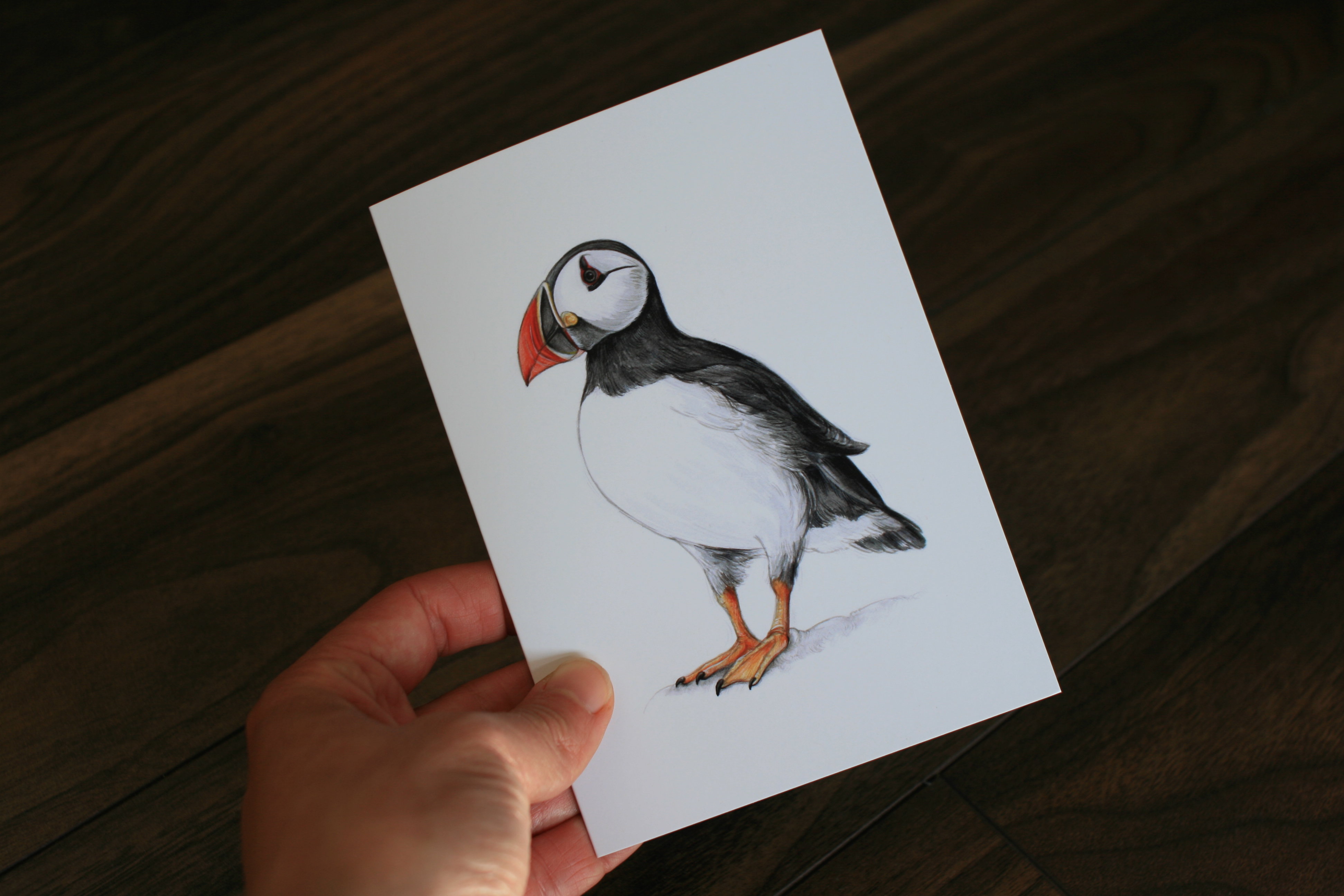CARD – Wildlife illustration of a puffin, as featured in 'Dr Hibernica Finch’s C