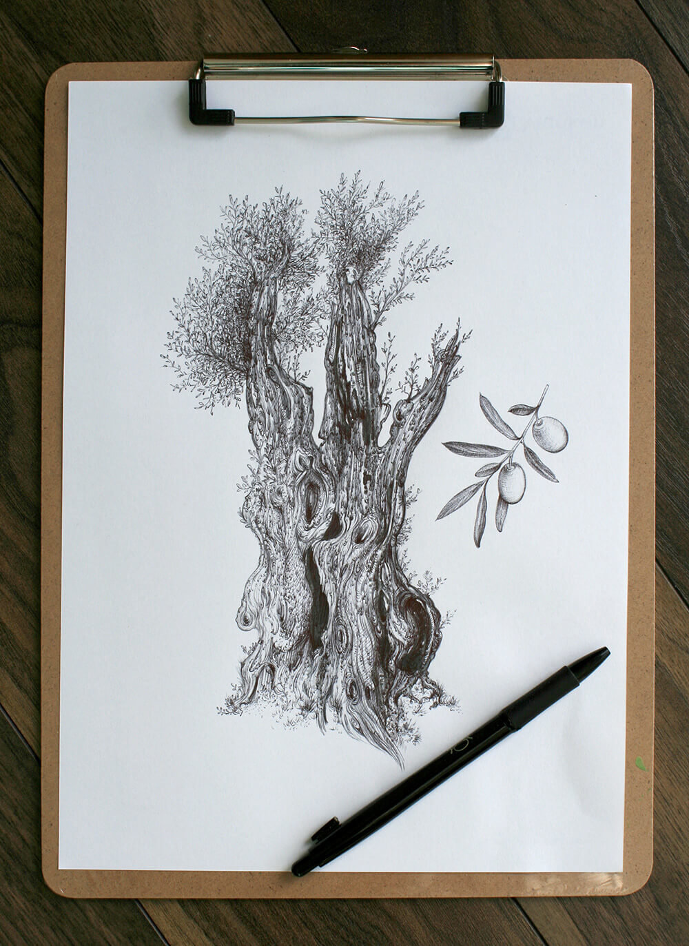 Olive tree – original artwork by Aga Grandowicz_img1.