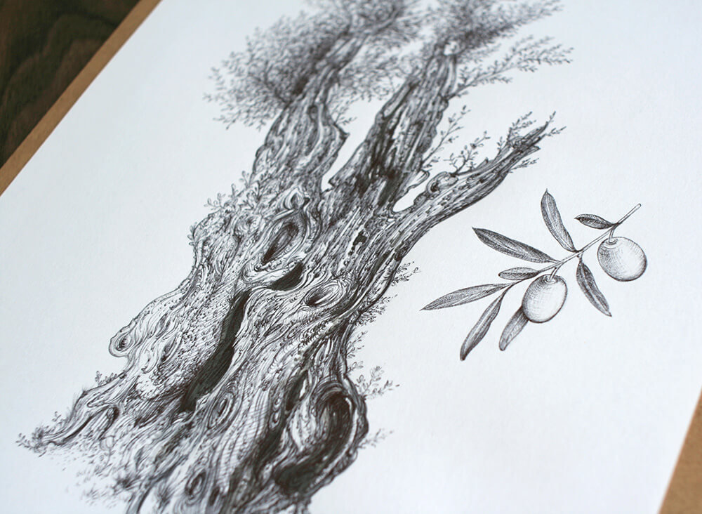 Olive tree – original artwork by Aga Grandowicz_img2.