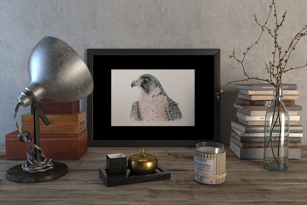 Peregrine falcon #1 – original artwork