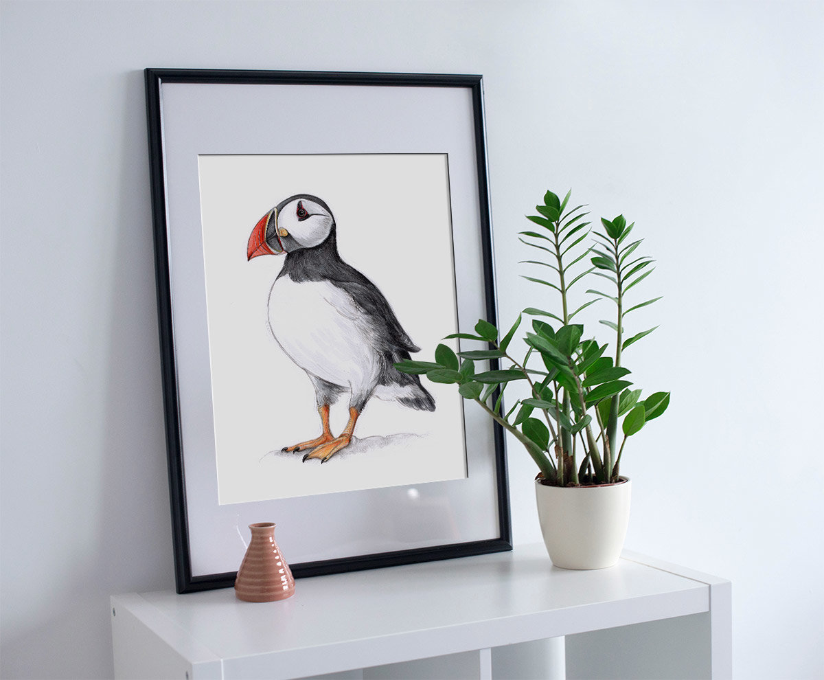 Atlantic Puffin – A4 fine art prints, limited edition for each by Aga Grandowicz