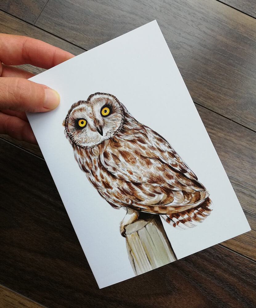 Short-eared-owl-artwork-greeting-card-by-aga-grandowicz_2