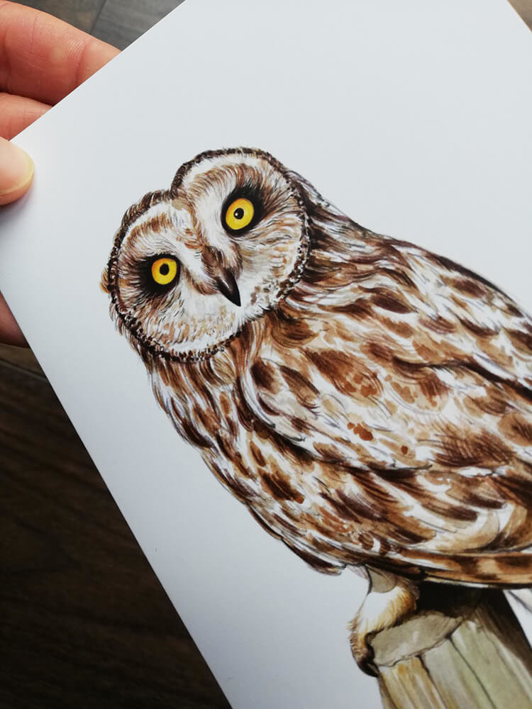 Short-eared-owl-artwork-greeting-card-by-aga-grandowicz_closeup