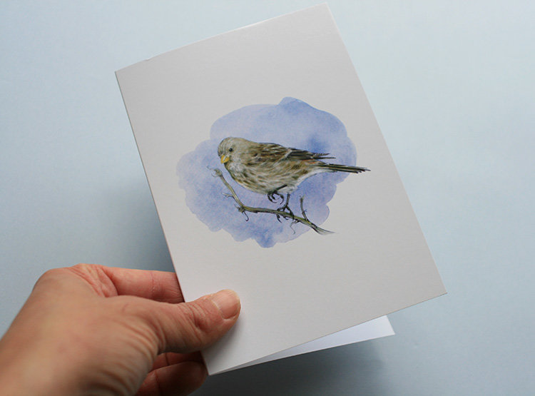 Greeting card, A5 folded to A6, with wildlife illustration of a twite bird.