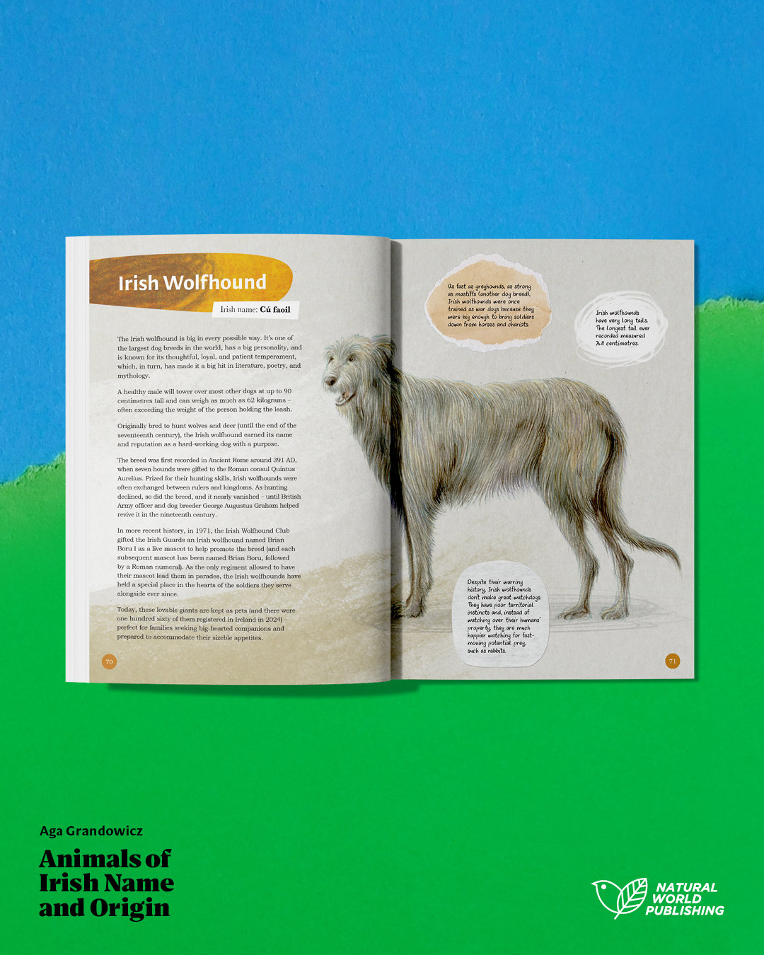 Animals of Irish Name and Origin – book