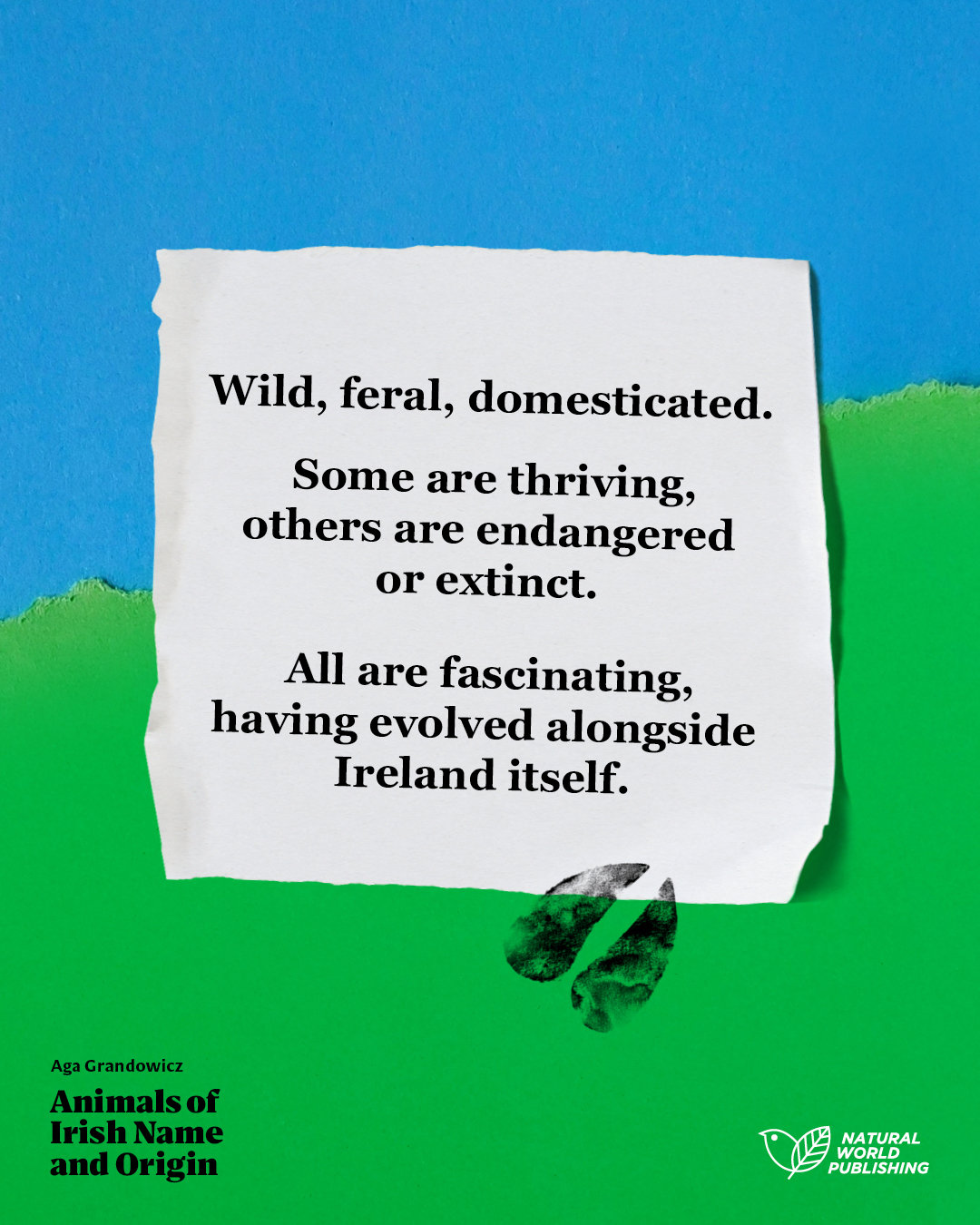 Animals of Irish Name and Origin – book