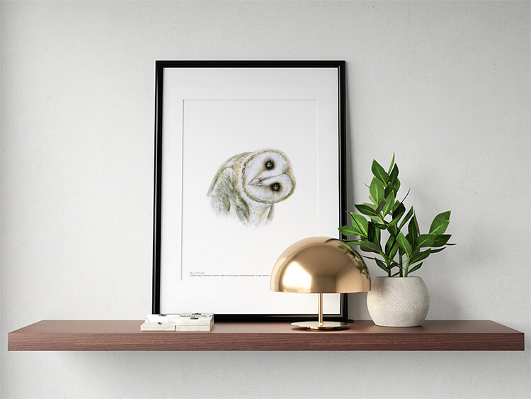 Barn own – A4 print