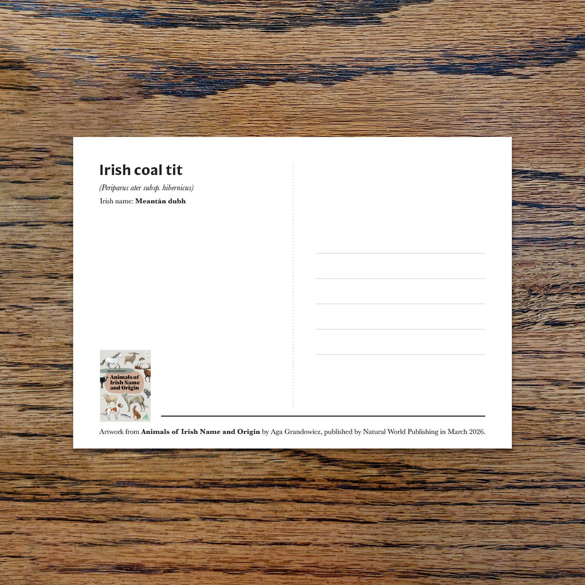 Irish coal tit, A6 CARD