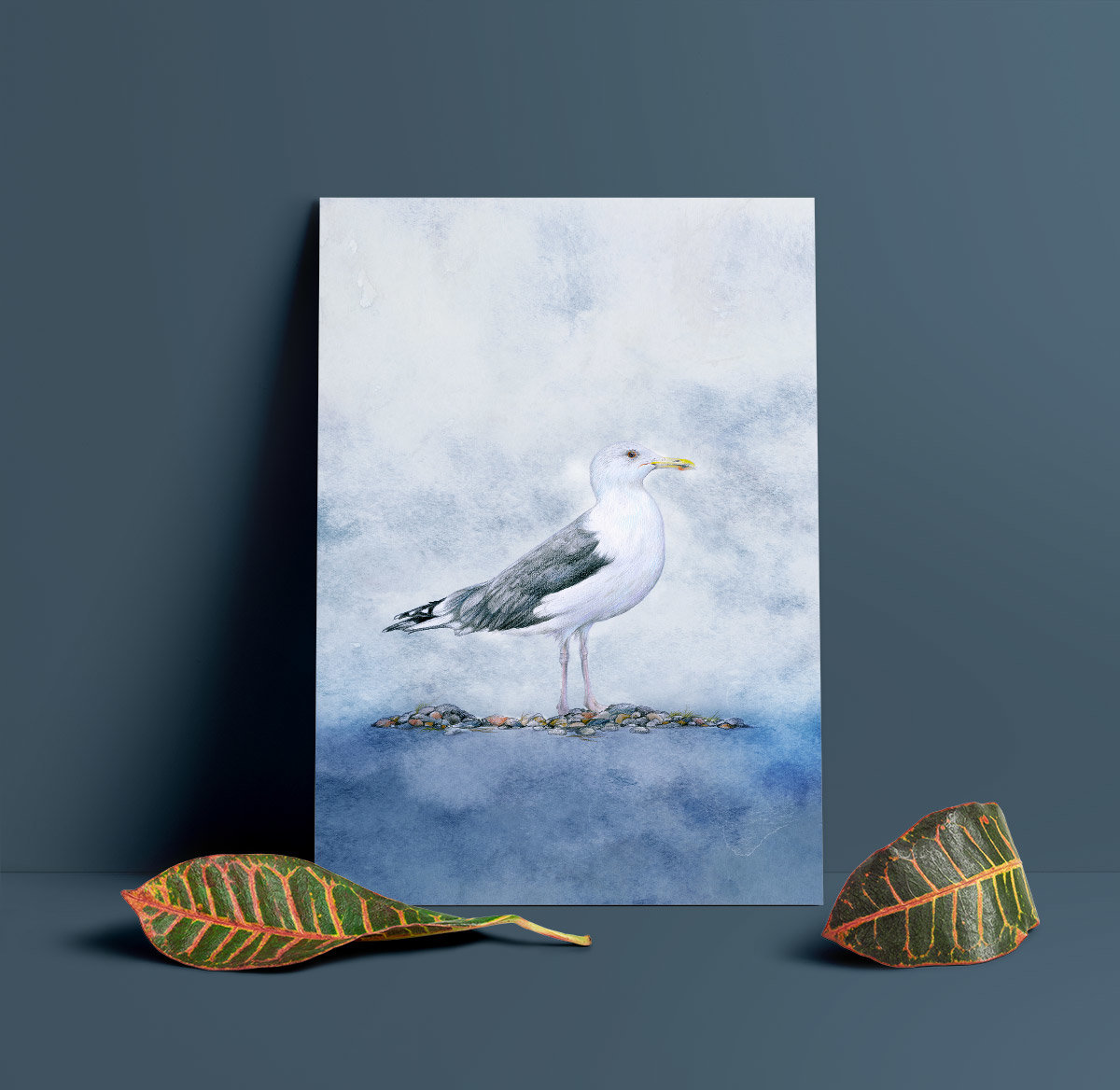 Caspian gull – A4 Art Print