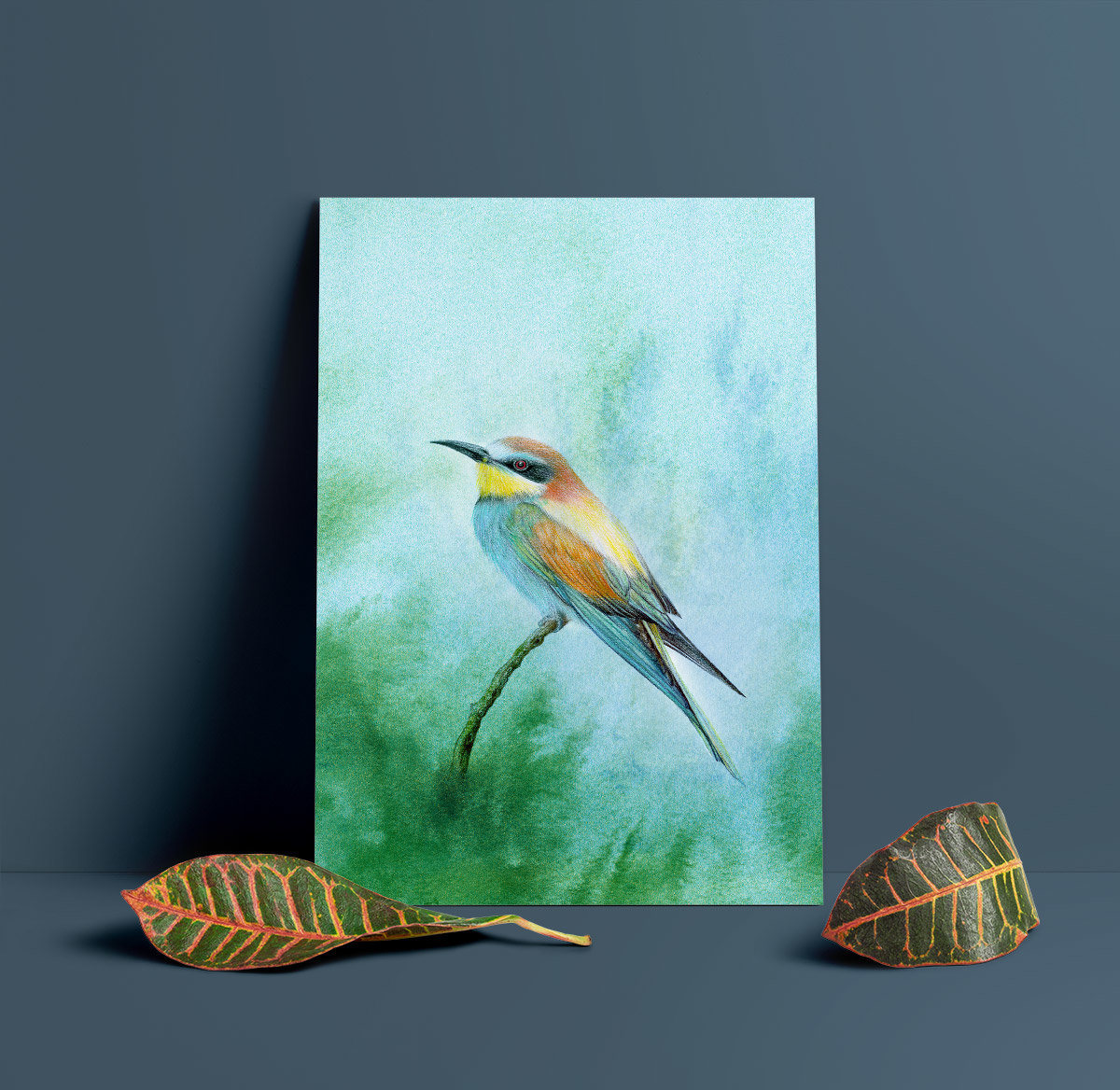 European bee eater – A4 Art Print