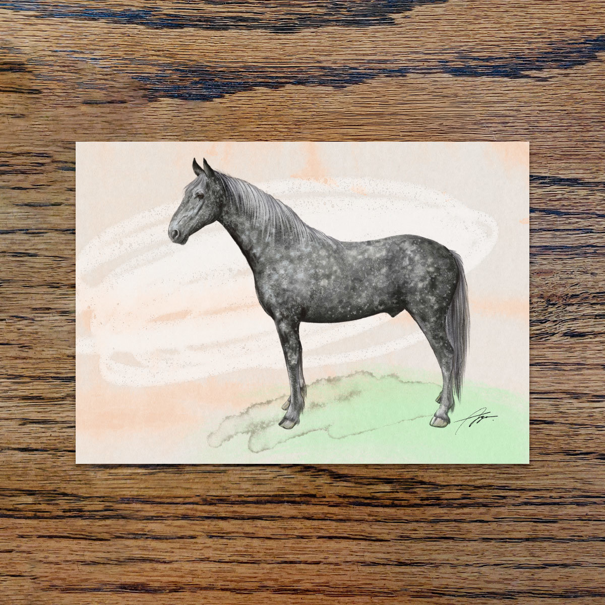 Irish Sport pony, A6 CARD