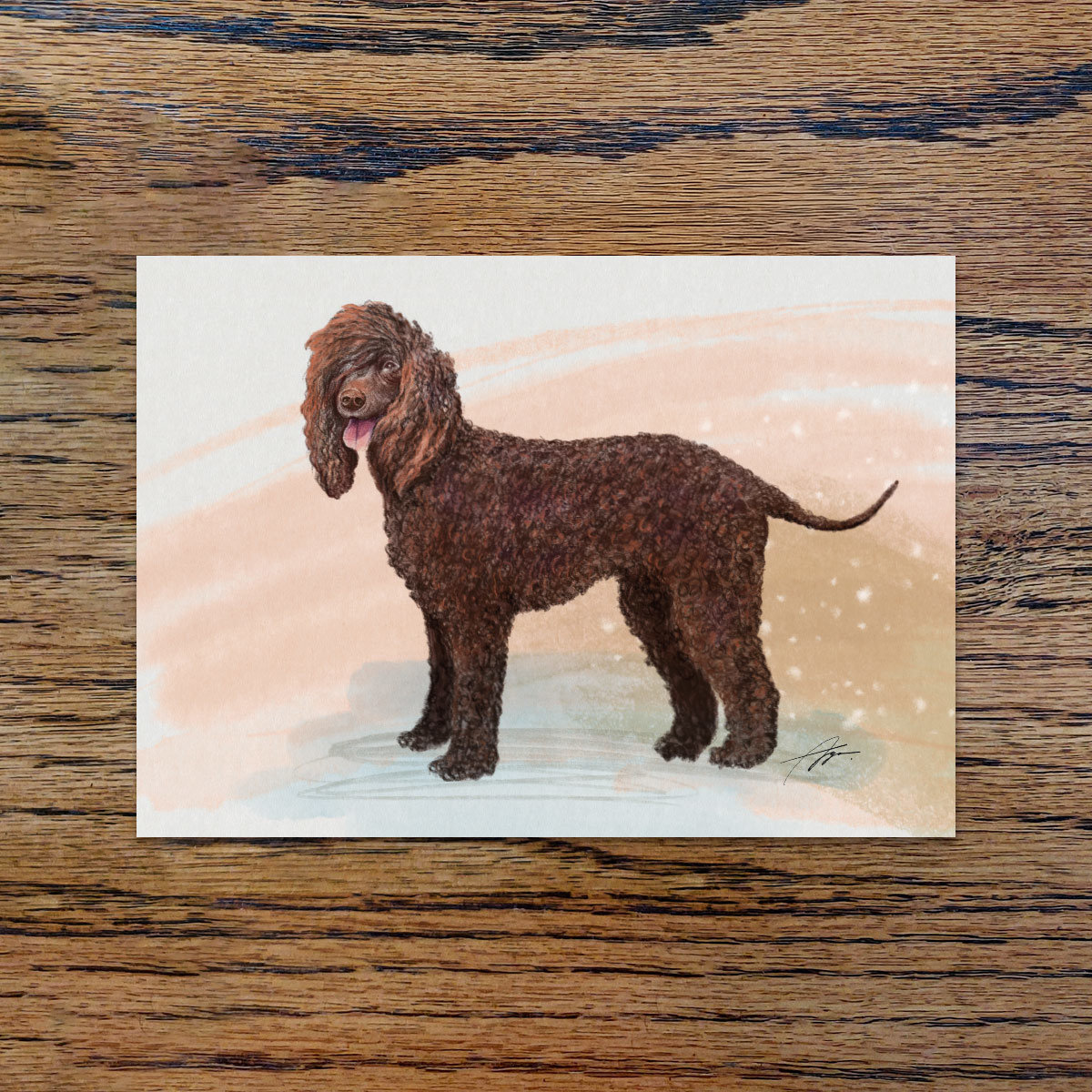 Irish Water Spaniel, A6 CARD