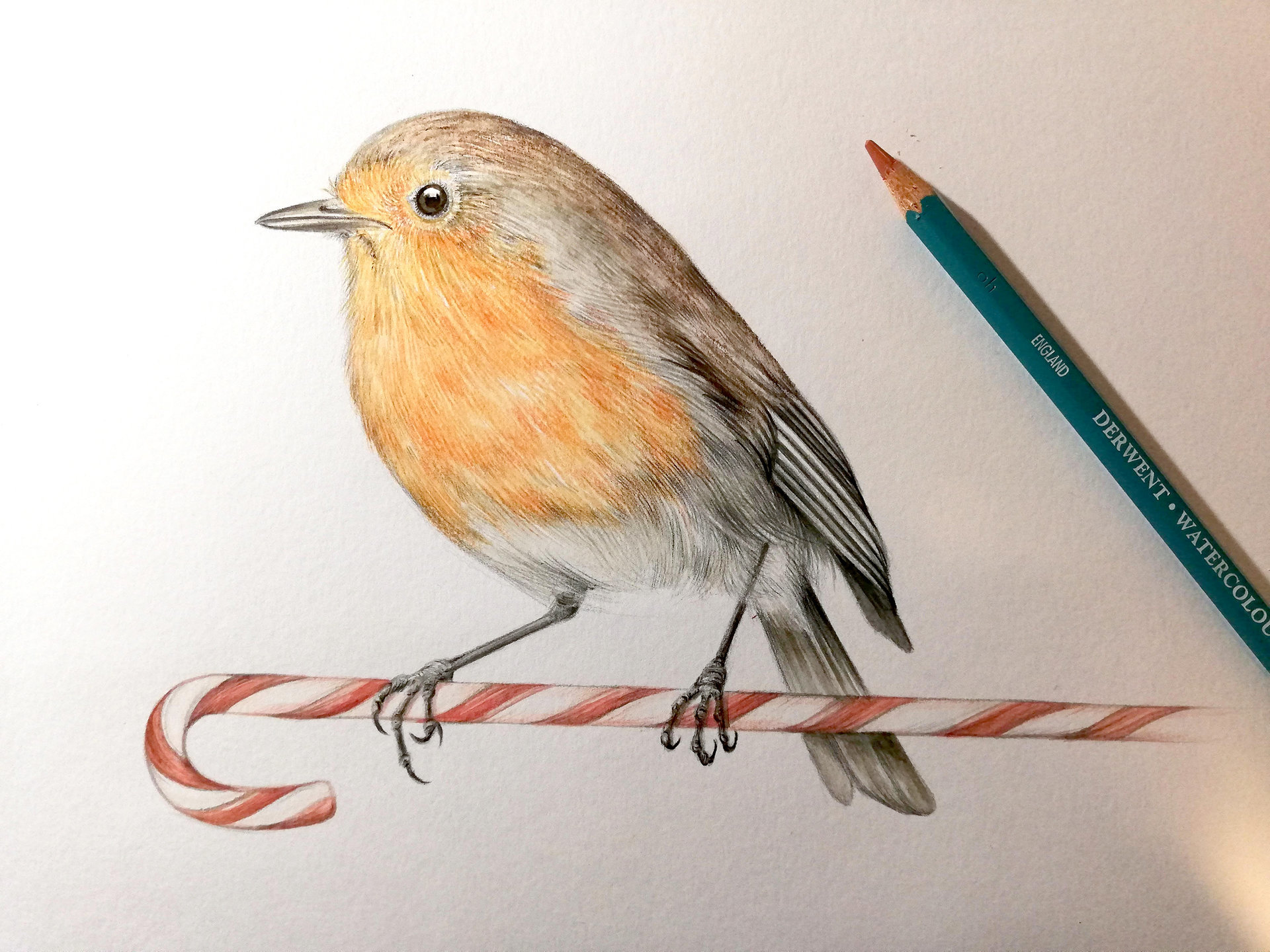 A6 CARD – Christmas robin