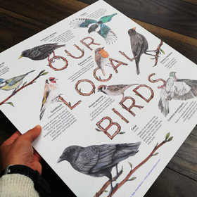 Info board featuring a selection of European birds – artwork by Aga Grandowicz