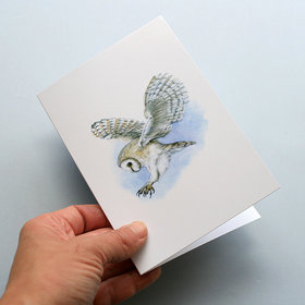 Greeting card, A5 folded to A6, with wildlife illustration of a barn owl.