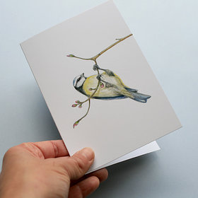 A6 CARD – blue tit hanging from a tree branch.
