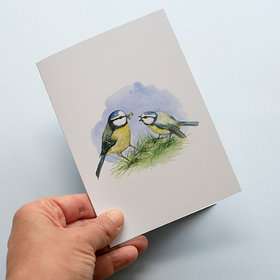 A6 CARD – feeding blue tit chick.