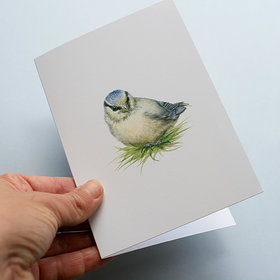 A6 CARD – blue tit chick in the grass_front.