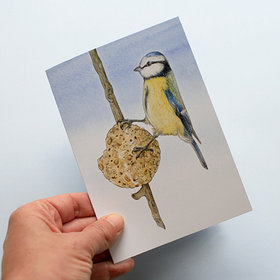 A6 CARD – feeding blue tit – illustration from 'Blue tit chick'