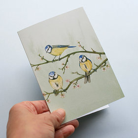 A6 CARD – blue tits sitting on a tree branch_front.