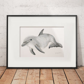 Bottlenose dolphin – original artwork by Aga Grandowicz