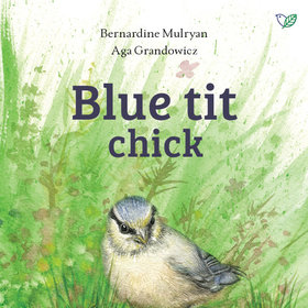 Blue tit chick – children's book by Bernardine Mulryan and Aga Grandowicz_front