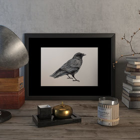 Crow – original artwork by Aga Grandowicz.