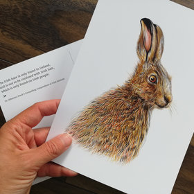 CARD – Irish hare, as featured in 'Dr Hibernica Finch's Compelling Compendium ..