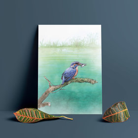 Kingfisher sitting on a branch – wildlife art by Aga Grandowicz.