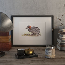 Little grebe duck – original artwork by Aga Grandowicz.