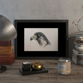 Peregrine falcon #2 – original artwork by Aga Grandowicz