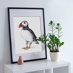 Atlantic Puffin – A4 fine art prints, limited edition for each by Aga Grandowicz