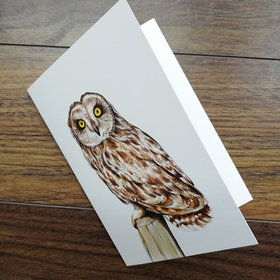 short-eared-owl-artwork-greeting-card-by-aga-grandowicz1