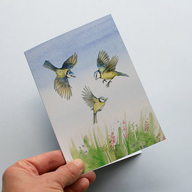 A6 CARD – three blue tits – illustration from 'Blue tit chick' – children's book