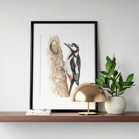 Great spotted woodpecker – original artwork by Aga Grandowicz