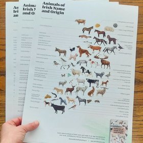 Animals of Irish Name and Origin – A3 poster