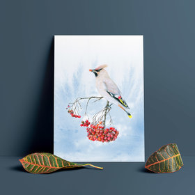 Bohemian waxwing – A4 Art Print