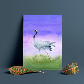 Common crane – A4 Art Print