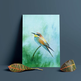 European bee eater – A4 Art Print